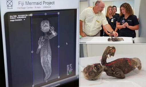 Hé lộ bí ẩn về 'xác ướp nàng tiên cá' - sinh vật kỳ quái được phát hiện ở Nhật Bản 