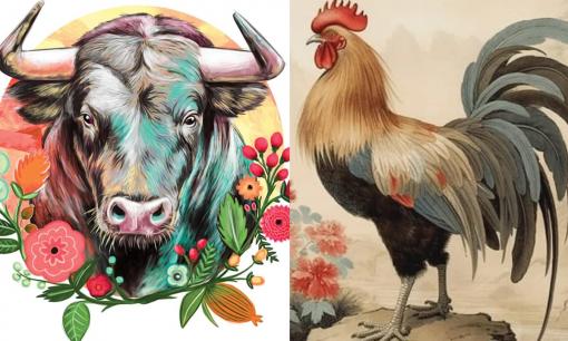 Tử vi 12 con giáp thứ 4 ngày 8/11/2023: Tuổi Dậu may mắn đường tài vận, Sửu cần đề phòng kẻ xấu