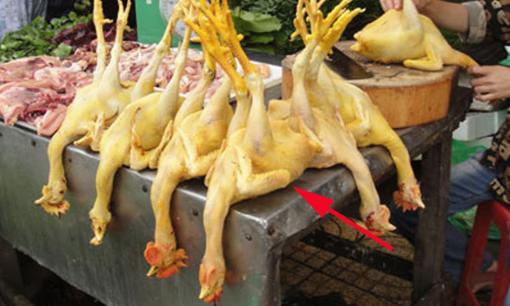 Cách chọn gà trống, gà mái ngon, người không sành đọc qua là có thể 'chọn trúng' 
