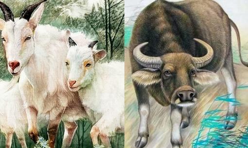 Tử vi ngày 16, 17 và 18 tháng 11: Sự giàu có “quay 360 độ”, ba con giáp 'hái ra tiền', của nả đếm mỏi tay