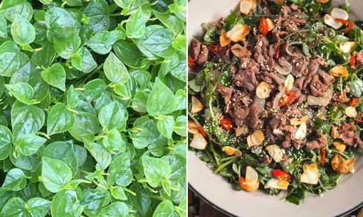 Có 1 loại rau giàu canxi hơn sữa, giá rẻ không lo phun hóa chất