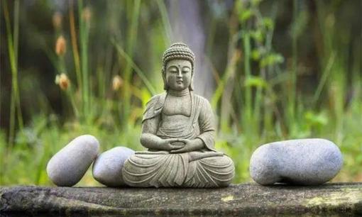 Nếu bạn rất lương thiện và thường xuyên bị bắt nạt thì cần mượn 'tứ năng' này