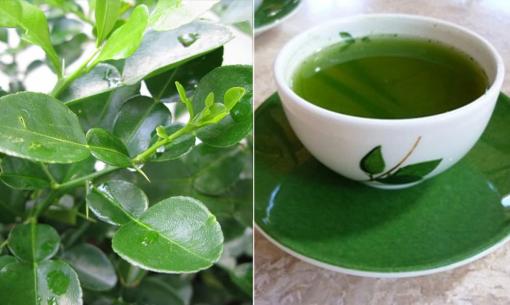 Loại lá ở trong vườn người Việt Nam hay có nhưng nước ngoài bán giá 6 triệu đồng/kg, vừa chữa ho lại mát gan