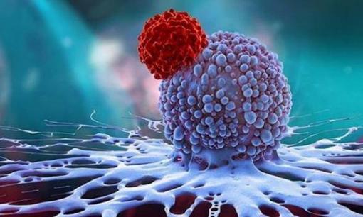 Những người ít mắc bệnh ung thư thường có 5 “đặc điểm” này, hãy xem bạn có bao nhiêu trong số đó?