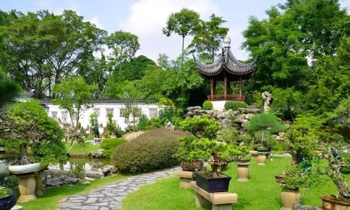 'Trong cửa có ba cây, con cháu giàu có từ đời này sang đời khác', đó là 3 loại cây gì? Kiểm tra xem bạn có gieo hạt giống nào trong sân không