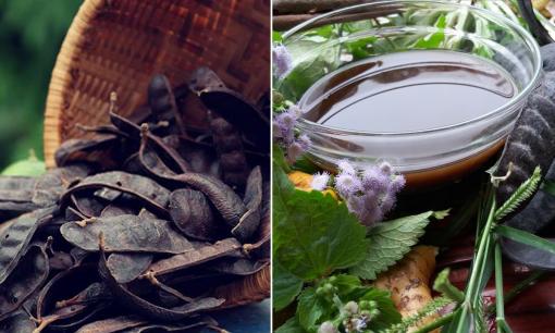 Bồ kết có dùng để uống được không? Công dụng của bồ kết ít người biết