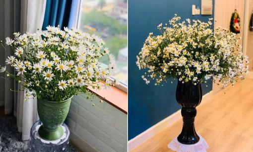 Đang mùa cúc họa mi, chỉ mẹo cắm hoa cả tuần vẫn tươi không héo
