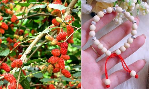 Các cụ nói trồng cây dâu là rước vận xui về nhà nhưng đeo vòng dâu để trừ tà, tại sao?