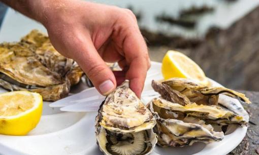 Khi mua hàu, đừng chỉ lấy ngẫu nhiên mà tôi sẽ dạy bạn “3 mẹo” để chọn được những con hàu tròn trịa, béo mầm