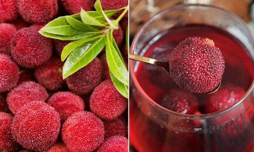 Quả thanh mai là quả gì? Cách tạo ra món ngon từ quả thanh mai cho dịp gần Tết