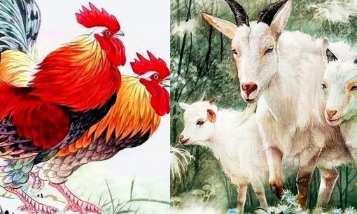 Ba con giáp có vận may bùng nổ từ 9.12 đến 19.12, hứng lộc trời ban, tiền của tứ phương tụ về