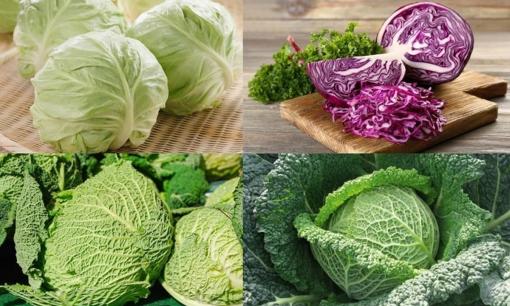 Là 'vua' của các loại rau nhưng bắp cải lại rất 'độc' với những người này, ăn vào thêm nặng bệnh