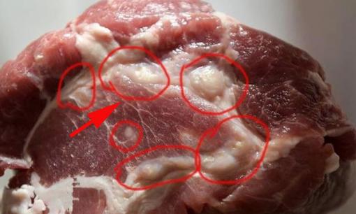 Chuyên gia cảnh báo đây là 3 bộ phận cực bẩn ở lợn, 'ổ' ký sinh trùng, thèm mấy cũng chớ ăn 