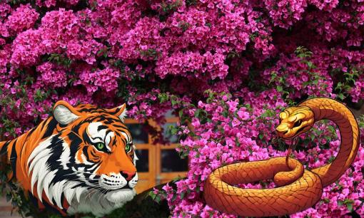 Tuổi nào hợp trồng hoa giấy? Càng trồng càng làm ăn thuận lợi, tiền vào như nước