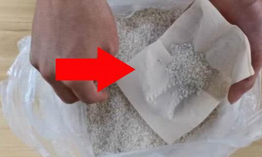 Người có kinh nghiệm khi đi mua gạo thường mang theo một tờ giấy, vì sao? Cách phân biệt gạo mới tươi ngon và gạo cũ bị tẩm hóa chất