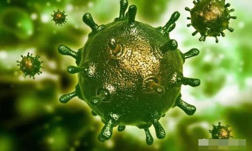 Virus ma cà rồng được phát hiện! Cư dân mạng tỏ ra không tin vào phát hiện của các nhà khoa học Mỹ