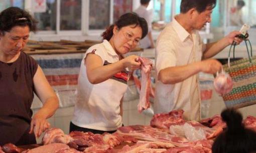 Khi mua thịt nên chọn “heo đực” hay “heo cái”? Đối với những người không hiểu, bao nhiêu năm ăn thịt lợn đều vô ích