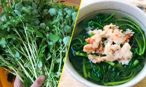Nó được xem là loại rau 'tốt nhất thế giới' của Mỹ, hóa ra vô cùng quen thuộc trong bữa cơm người Việt