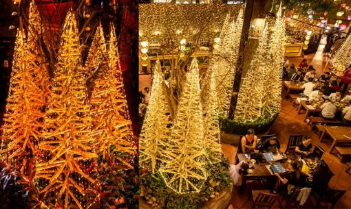 Cây thông làm bằng tre độc đáo sáng bừng không gian, ai nhìn cũng thích 