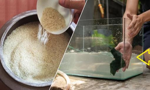 Trong nhà có 5 thứ phải luôn đổ đầy, để vơi mất lòng Thần Tài, nghèo đói quanh năm