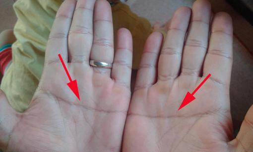 Người xưa: 'Tay nam 1 đường là vàng bạc, tay nữ 1 đường bỏ người nuôi', là đường nào? 