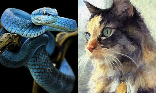 Tử vi 12 con giáp thứ 7 ngày 30/12/2023: Tuổi Mão đề phòng kẻ xấu hãm hại, Tỵ thu về không ít tiền bạc