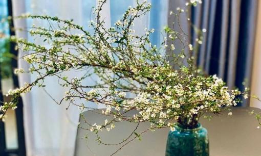 3 cách cắm tuyết mai đẹp, tươi lâu, học luôn để Tết này còn trang hoàng nhà cửa