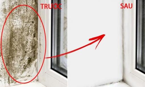 Tường bị nấm mốc khó lau chùi, chỉ cần một mẹo nhỏ, tường sạch bong trong ít phút