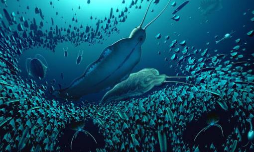 Khám phá mang tính đột phá: Nửa tỷ năm trước, loài 'giun khổng lồ' này đã từng thống trị đại dương