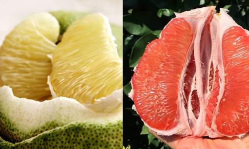 Cách chọn bưởi vào mùa đông? Sự khác biệt giữa bưởi ruột đỏ và bưởi ruột trắng là gì? Các chuyên gia sức khỏe đưa ra câu trả lời