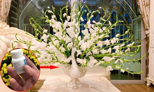 Bí quyết giữ hoa tươi lâu trong dịp Tết, nhất định đừng nên bỏ qua