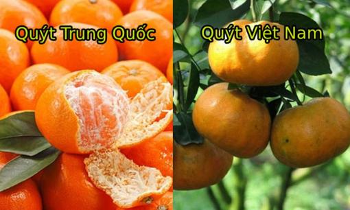 Quýt đang được bán đầy chợ, chỉ mẹo để phân biệt hàng Việt Nam và Trung Quốc