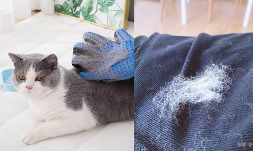 Lông chó mèo dính trên quần áo, chỉ mẹo làm sạch nhanh nhất, không cần giặt giũ