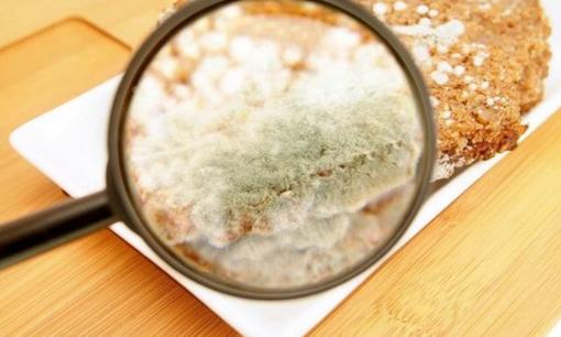 Phát hiện 'chất gây ung thư cấp độ 1', WHO kêu gọi: Hãy ngừng ăn và đừng quá bất cẩn!