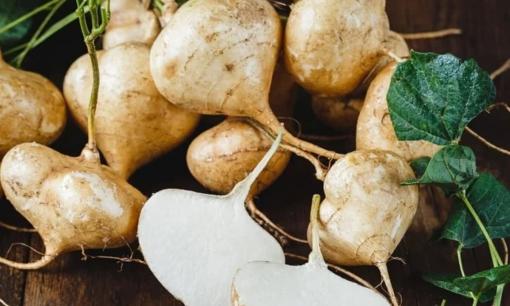 Loại củ 'rẻ tiền' dễ mua, nhưng lại có tác dụng giải độc rượu rất tốt, nhà nào cũng nên mua dự trữ ngày Tết