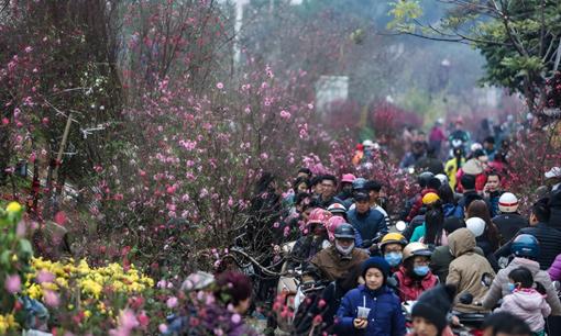 Miền Bắc bước vào đợt rét nhất năm, thời tiết Tết Nguyên Đán 2024 được dự báo như thế nào?