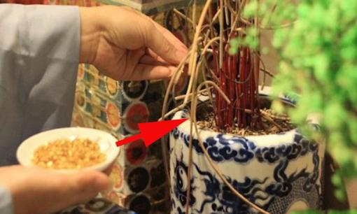 Bát hương trên bàn thờ nhất định cần có 'cốt', bao gồm những thứ gì?