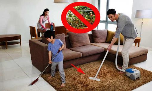 Dọn nhà cuối năm đừng tiếc vứt 5 món đồ này vì để lại chỉ rước xui xẻo 