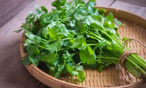 Gần Tết Nguyên Đán người Việt dùng nhiều loại rau gia vị giàu vitamin C chẳng kém cam, chanh, đó là gì?