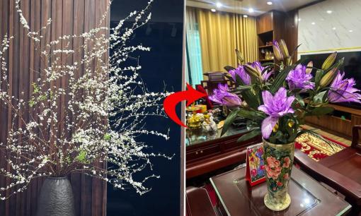 'Tuyết mai xưa rồi' đây là loại hoa mới đang được chị em săn tìm cho dịp Tết Nguyên Đán 2024