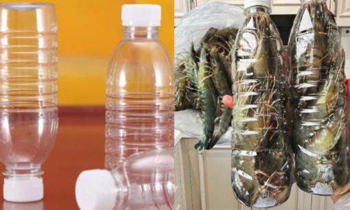 Phương pháp bảo quản tôm: tránh cho trực tiếp vào tủ lạnh, hãy khéo léo sử dụng một thứ để giữ tôm tươi và đàn hồi ngay cả sau khi đông lạnh cả năm