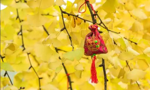 Năm 2024, hãy kiên trì 6 điều, phúc lộc sẽ đến một cách tự nhiên! 