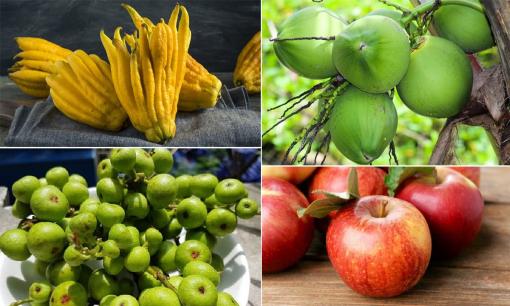 Đừng chỉ mãi đặt chuối lên ban thờ vào ngày mùng 1, đây mới là loại quả tài lộc, giúp gia chủ cả tháng tiền vào như nước