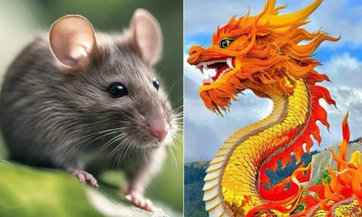 Lý do tại sao chuột lại đứng đầu 12 con giáp mà không phải rồng?