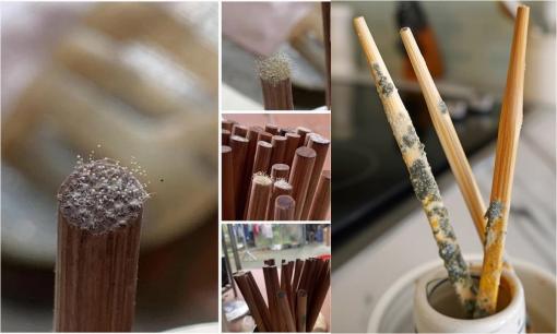 Trời nồm ẩm khiến đũa lên mốc 'như hoa nở', đem luộc nước sôi là có thể yên tâm sử dụng?