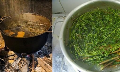 Những lưu ý quan trọng khi tắm nước lá mùi già vào chiều 30 Tết để vừa có lợi cho sức khỏe, vừa mang lại may mắn