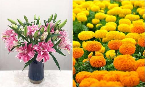 Những loại hoa nào cấm tuyệt đối đặt trên ban thờ vào dịp Tết, chúng nên được đặt ở vị trí nào cho tốt?