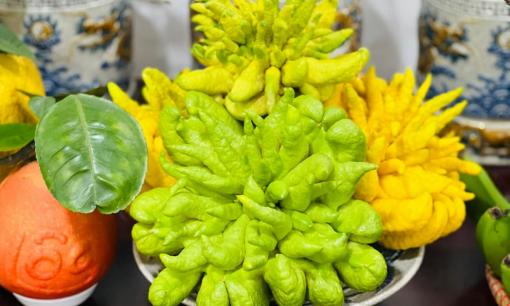 Quả phật thủ không ăn được nhưng lại được nhiều người bày lên mâm ngũ quả ngày Tết, ý nghĩa là gì? 