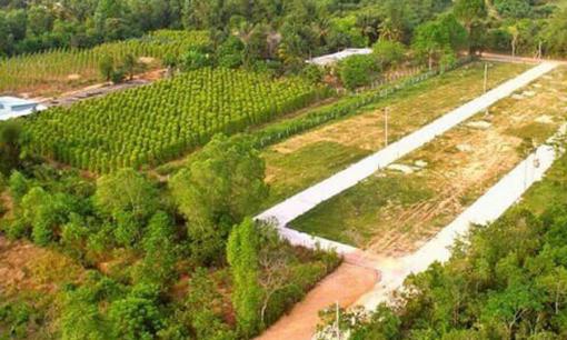 Muốn chuyển đất trồng cây lâu năm sang đất ở năm 2024 cần làm một việc để không bị phạt