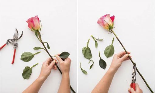 Mẹo 'hồi sinh' hoa Tết héo thành hoa tươi đơn giản nhất, đỡ mất tiền mua hoa thay liên tục